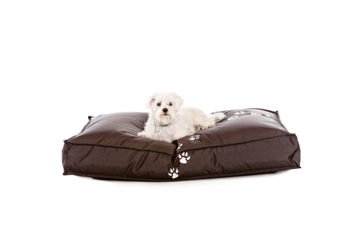Honden z